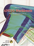 ANSYS Workbench